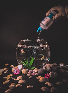 Ocean Clean Cleaner